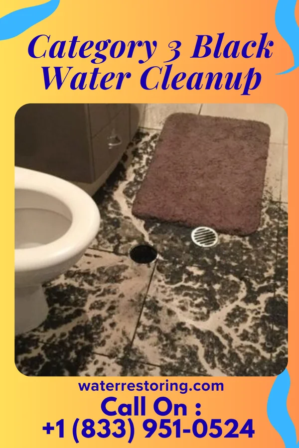 Category 3 Black Water Cleanup in Stuart, IA