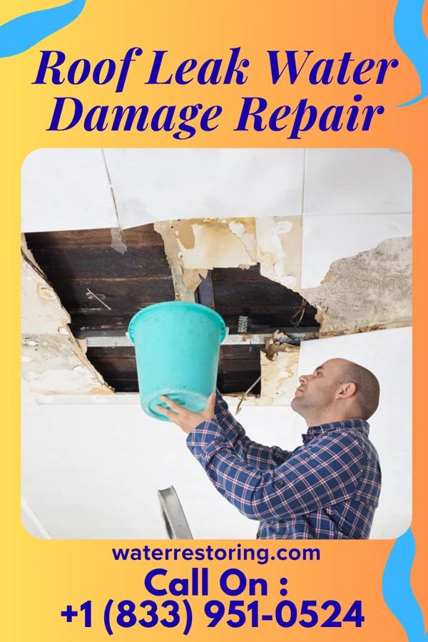 Roof Leak Water Damage Repair in Stuart, IA